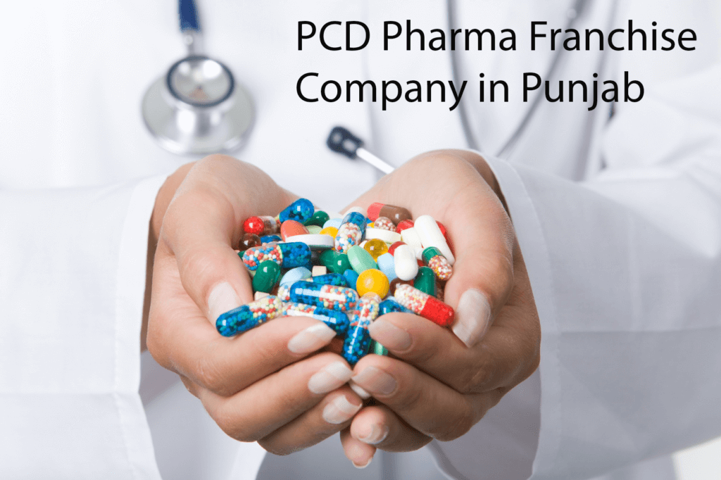 PCD Pharma Franchise Company in Punjab