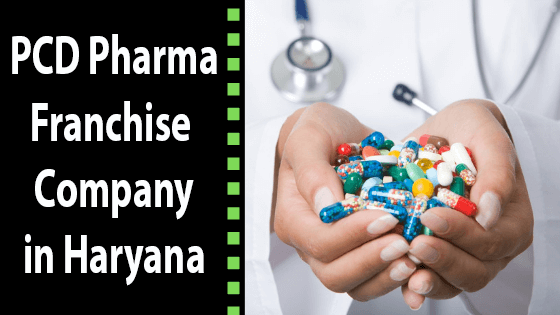 PCD Pharma Franchise Company in Haryana