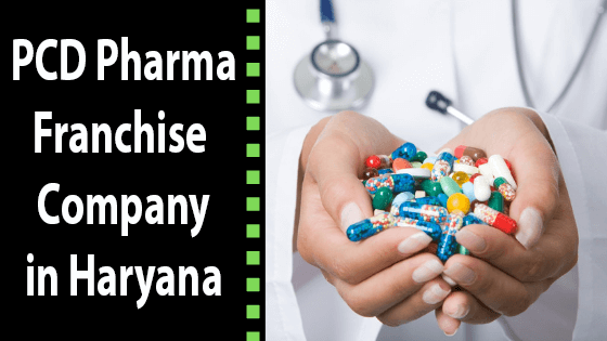 PCD Pharma Franchise Company in Haryana - Panm Labs