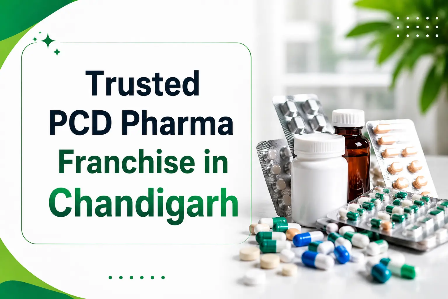 Trusted PCD Pharma franchise in Chandigarh